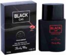 Black Car Unisex Perfume - (100ml) for Long Lasting Fragrance