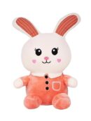 Cute & Adorable Bunny RABBIT LONG EAR | Fluffy & Soft Stuffed Animal Plush Toy For Kids - 25 CM (Random color)