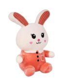 Cute & Adorable Bunny RABBIT LONG EAR | Fluffy & Soft Stuffed Animal Plush Toy For Kids - 25 CM (Random color)