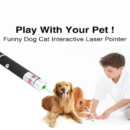 595.54Laser Pointer Light for Kids