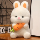 Adorable Plush Bunny & Carrot Pillow | Fluffy & Soft Stuffed Animal Plush Toy For Kids - 45 Cm