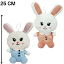 Cute & Adorable Bunny RABBIT LONG EAR | Fluffy & Soft Stuffed Animal Plush Toy For Kids - 25 CM (Random color)