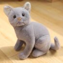 The Real Cat 30cm Stuff / Plush Toy | Cat Stuffed Animals, Realistic Cat - 30 CM (random Color)