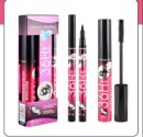 YANQINA Black Liquid Eyeliner + 3D Mascara (2 in 1)  Quick Drying Waterproof Non-smudge Eye Liner Pencil Makeup Set