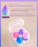 Pack of 4 – Beauty Blender with Plastic Case (random color)