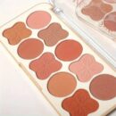 Miss Rose 10 fashion colors blush on palette