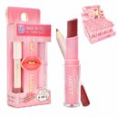 2 In 1 Lipstick And Lip Liner Set