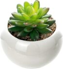 Mini plant Artificial Flowers Decoration | Artificial Plants Ball for Home (1 pc Round shape) (Copy)