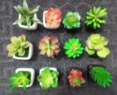 Mini plant Artificial Flowers Decoration | Artificial Plants Ball for Home (1 pc Square shape)