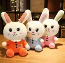 Cute & Adorable Bunny RABBIT LONG EAR | Fluffy & Soft Stuffed Animal Plush Toy For Kids - 25 CM (Random color)